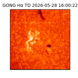 gong - 2026-05-28T16:00:22