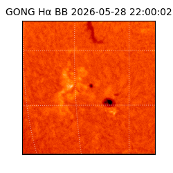 gong - 2026-05-28T22:00:02