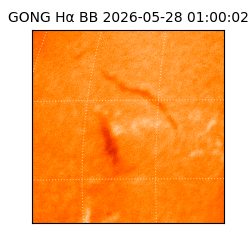 gong - 2026-05-28T01:00:02