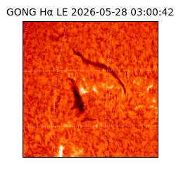 gong - 2026-05-28T03:00:42