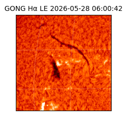 gong - 2026-05-28T06:00:42