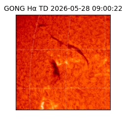 gong - 2026-05-28T09:00:22