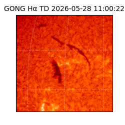gong - 2026-05-28T11:00:22