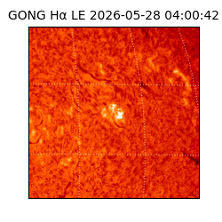 gong - 2026-05-28T04:00:42