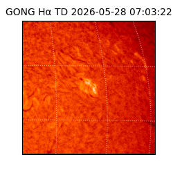 gong - 2026-05-28T07:03:22