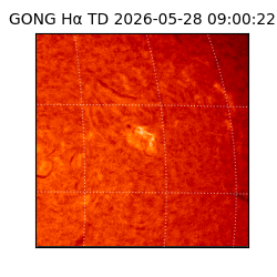 gong - 2026-05-28T09:00:22