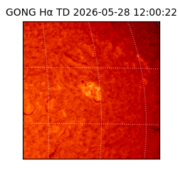 gong - 2026-05-28T12:00:22