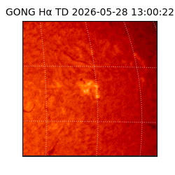 gong - 2026-05-28T13:00:22