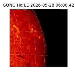gong - 2026-05-28T06:00:42