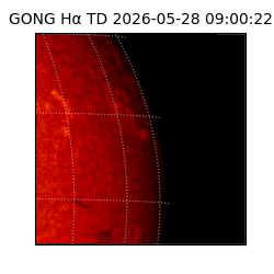 gong - 2026-05-28T09:00:22