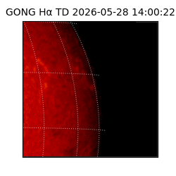 gong - 2026-05-28T14:00:22
