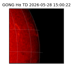 gong - 2026-05-28T15:00:22