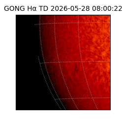 gong - 2026-05-28T08:00:22