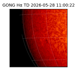 gong - 2026-05-28T11:00:22