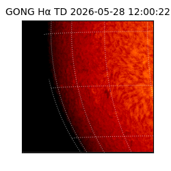 gong - 2026-05-28T12:00:22