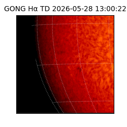 gong - 2026-05-28T13:00:22