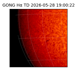 gong - 2026-05-28T19:00:22