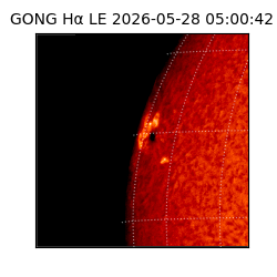 gong - 2026-05-28T05:00:42