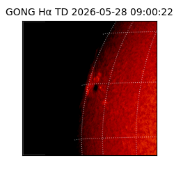 gong - 2026-05-28T09:00:22