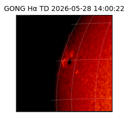 gong - 2026-05-28T14:00:22