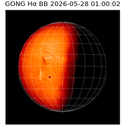 gong - 2026-05-28T01:00:02
