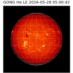 gong - 2026-05-28T05:00:42
