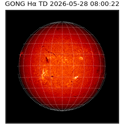 gong - 2026-05-28T08:00:22