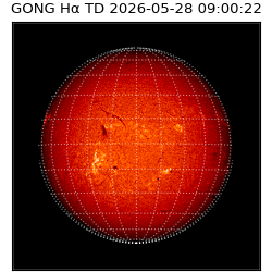 gong - 2026-05-28T09:00:22