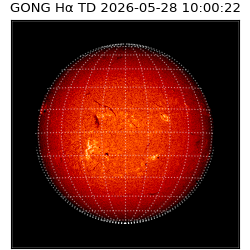 gong - 2026-05-28T10:00:22