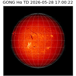 gong - 2026-05-28T17:00:22