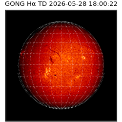 gong - 2026-05-28T18:00:22