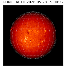 gong - 2026-05-28T19:00:22