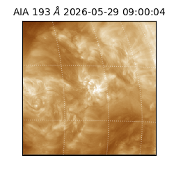 saia - 2026-05-29T09:00:04.842000