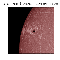 saia - 2026-05-29T09:00:28.717000