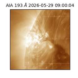 saia - 2026-05-29T09:00:04.842000