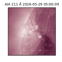 saia - 2026-05-29T05:00:09.624000