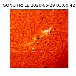 gong - 2026-05-29T03:00:42