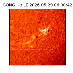 gong - 2026-05-29T06:00:42