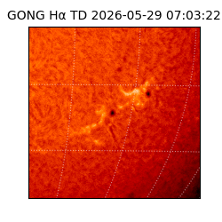 gong - 2026-05-29T07:03:22