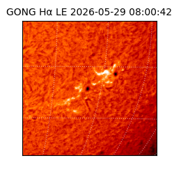 gong - 2026-05-29T08:00:42