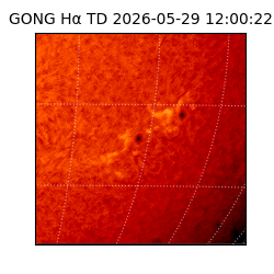gong - 2026-05-29T12:00:22