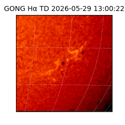 gong - 2026-05-29T13:00:22