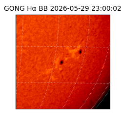 gong - 2026-05-29T23:00:02