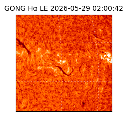 gong - 2026-05-29T02:00:42