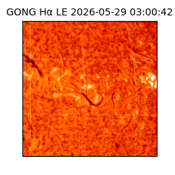 gong - 2026-05-29T03:00:42