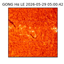 gong - 2026-05-29T05:00:42