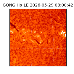 gong - 2026-05-29T08:00:42