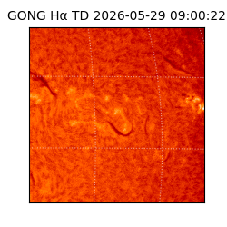 gong - 2026-05-29T09:00:22