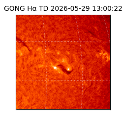 gong - 2026-05-29T13:00:22