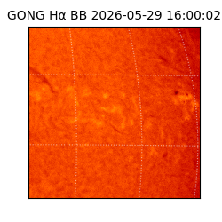 gong - 2026-05-29T16:00:02